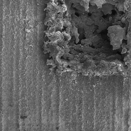 Cells of a data matrix code engraved on an aluminum surface, viewed using an electron microscope. Part of the surface shows absorption caused by chaotic changes in roughness.