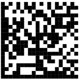 Figure 1: Typical Data Matrix Code