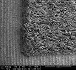 Figure 2: Image of a pale and dark markings using a scanning electron microscope (SEM)