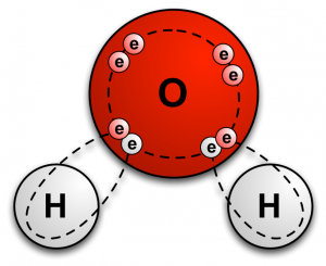 The covalent bonds that join oxygen and hydrogen atoms to form water molecules. 