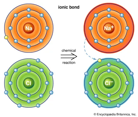The ionic bond that joins sodium (Na) and chlorine (Cl) atoms to form common table salt.