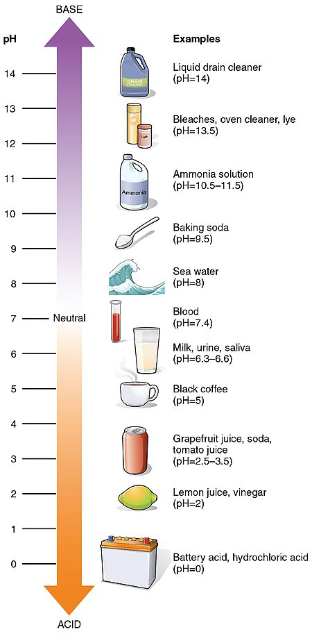 Alkaline Vs Acid Cleaning