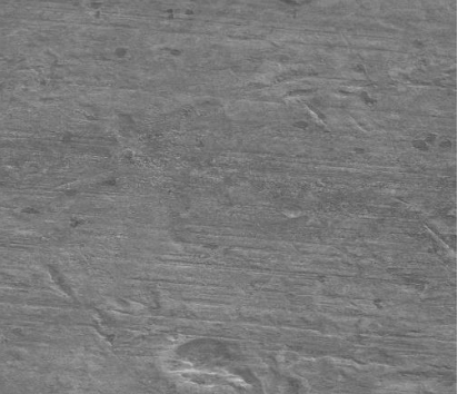 Sem Image After Manual Masking