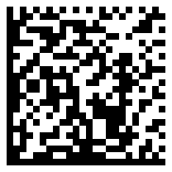 Data Matrix Code Industrial Traceability
