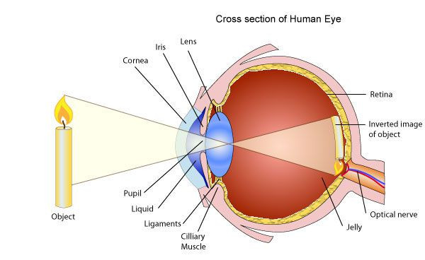 Laser Systems Eye