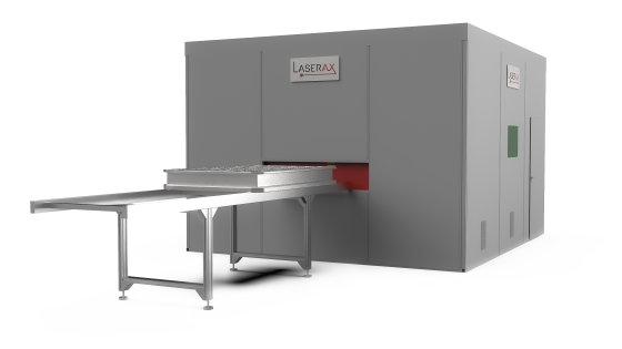 Battery Pack Laser Welding Machine - Conveyor no door