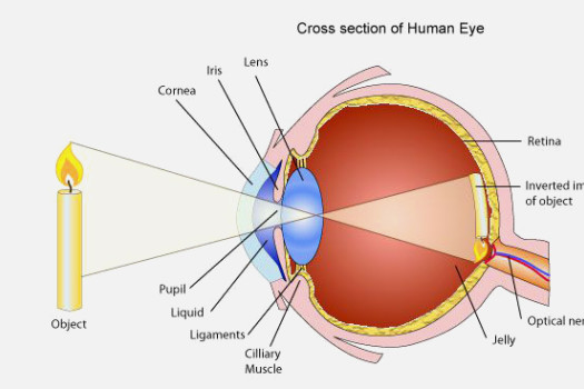 Laser Systems Eye